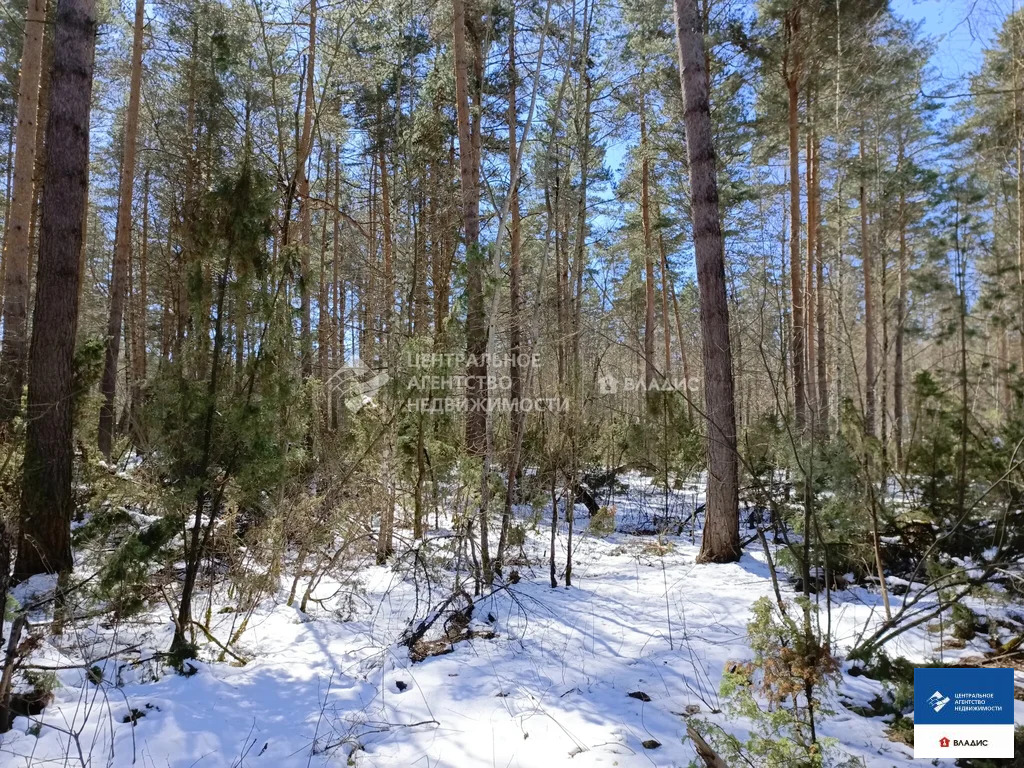 Продажа участка, Рязанский район, садоводческое товарищество Лесной - Фото 4
