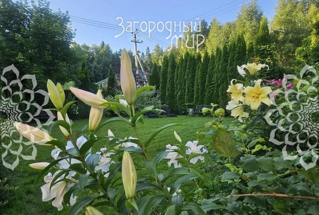Продам дом, Ленинградское шоссе, 30 км от МКАД - Фото 34