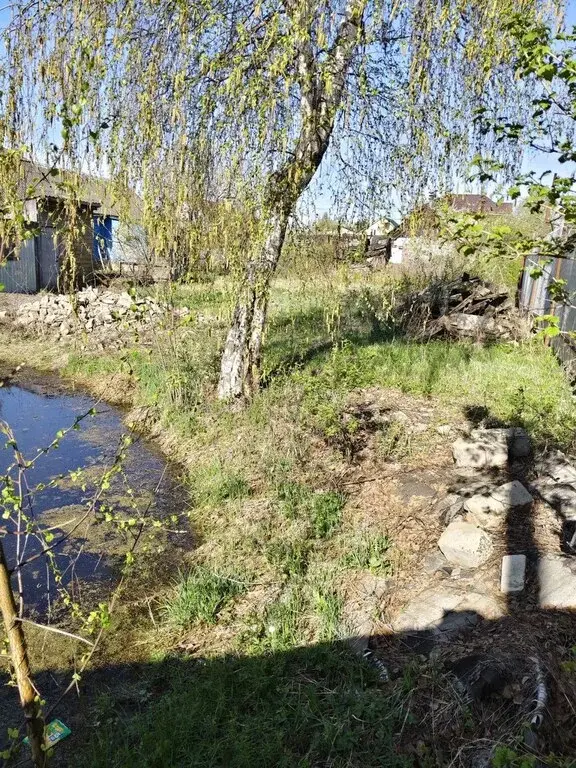 Продается земельный участок в д. Беляниново, г.о. Мытищи - Фото 4