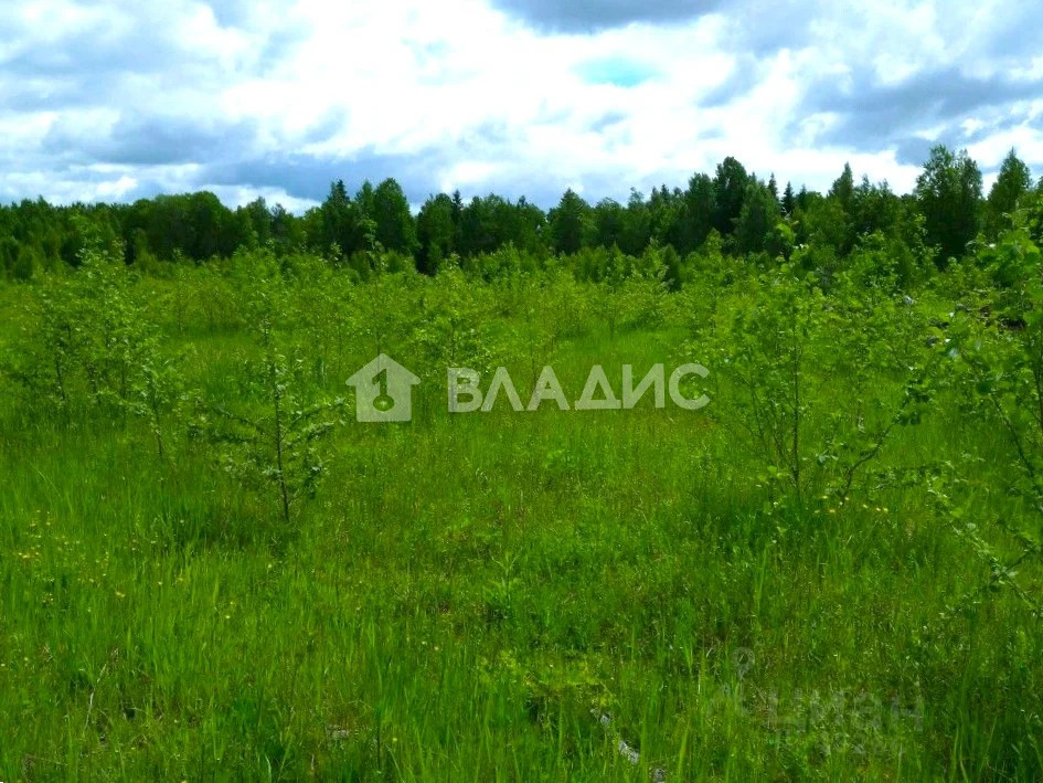 Боровский район, деревня Ильино,  земля на продажу - Фото 0