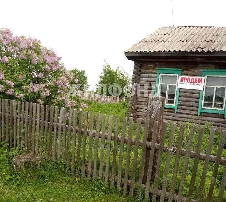 Боярка колыванский. Боярка Новосибирская область Колыванский район. Поселок Боярка. Фото Колыванского района деревня Лаптевка. Кандаурово ул веселая дом 4 фото.