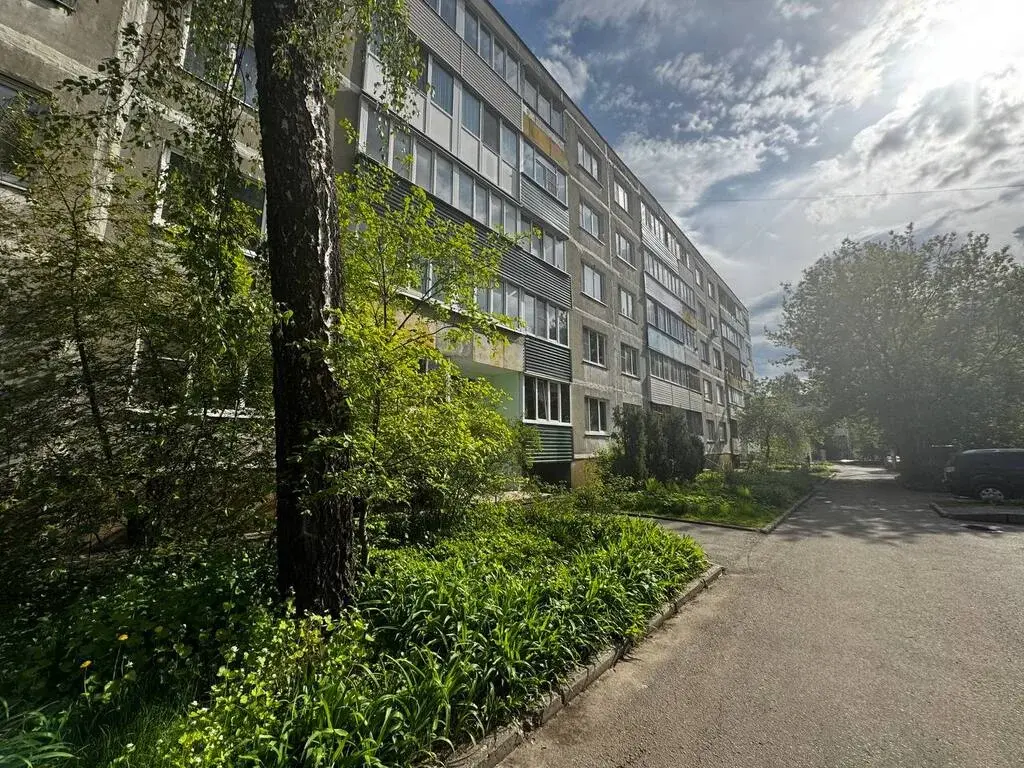 2-к. квартира, 46,5 м2, 2/5 эт. - Фото 14