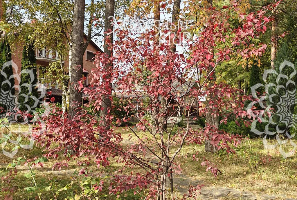 Продам дом, Симферопольское шоссе, 10 км от МКАД - Фото 21