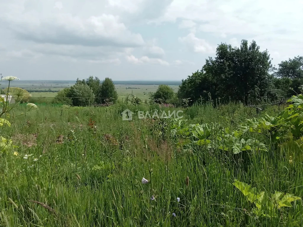 Гороховецкий район, деревня Куприяново, Сиреневая улица,  земля на ... - Фото 0