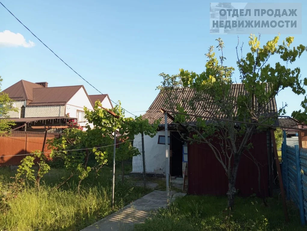 Объект 537381 - Фото 6