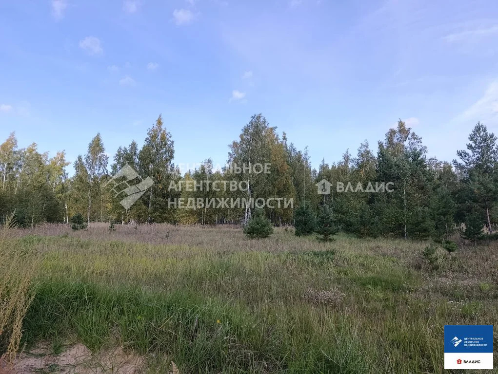 Продажа участка, Рязанский район, садоводческое товарищество ... - Фото 17