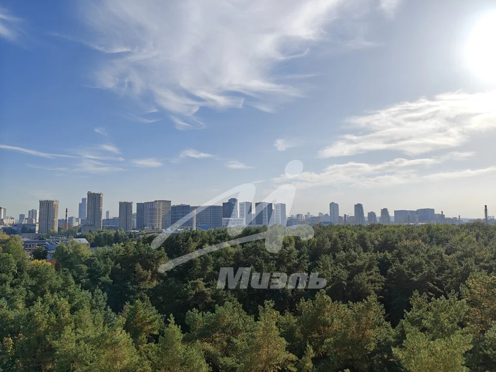 Продажа квартиры, ул. Маршала Бирюзова - Фото 20