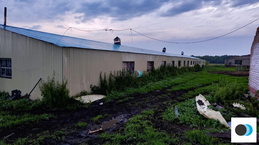 Продажа участка, Таусенгирово, Кармаскалинский район, ул. Лесная - Фото 7