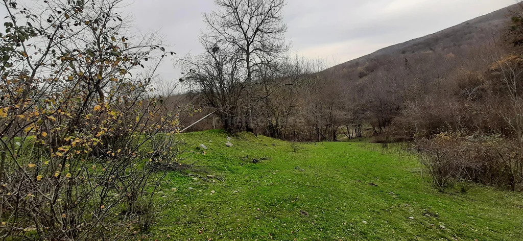 Продажа участка, Богатырь, Бахчисарайский район, ул. Шевченко - Фото 7