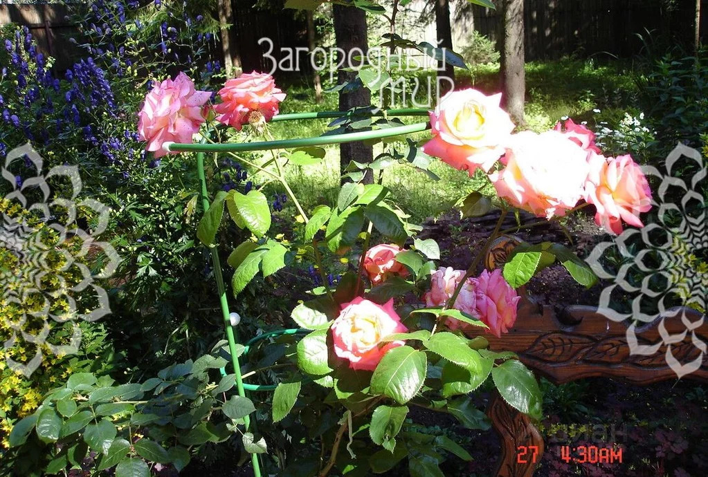 Продам дом, Киевское шоссе, 41 км от МКАД - Фото 11