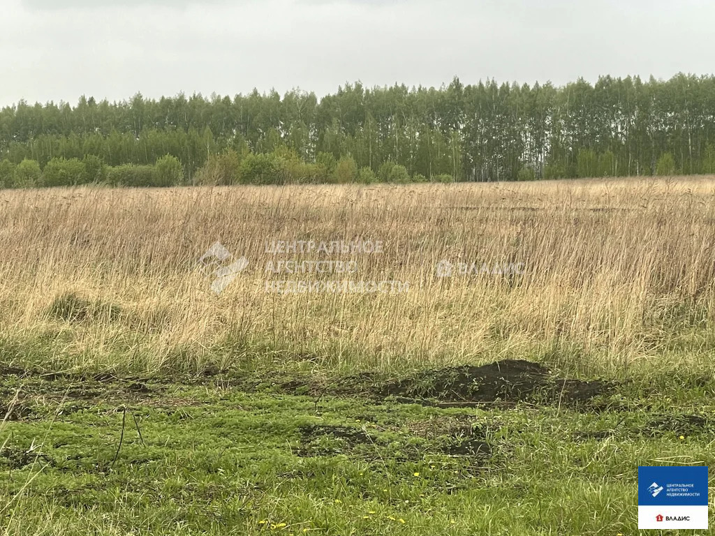 Продажа участка, Захаровский район - Фото 2