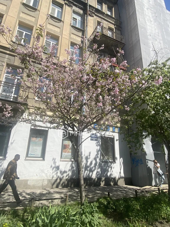 Продажа квартиры, м. Василеостровская, 6-я В.О. линия - Фото 11