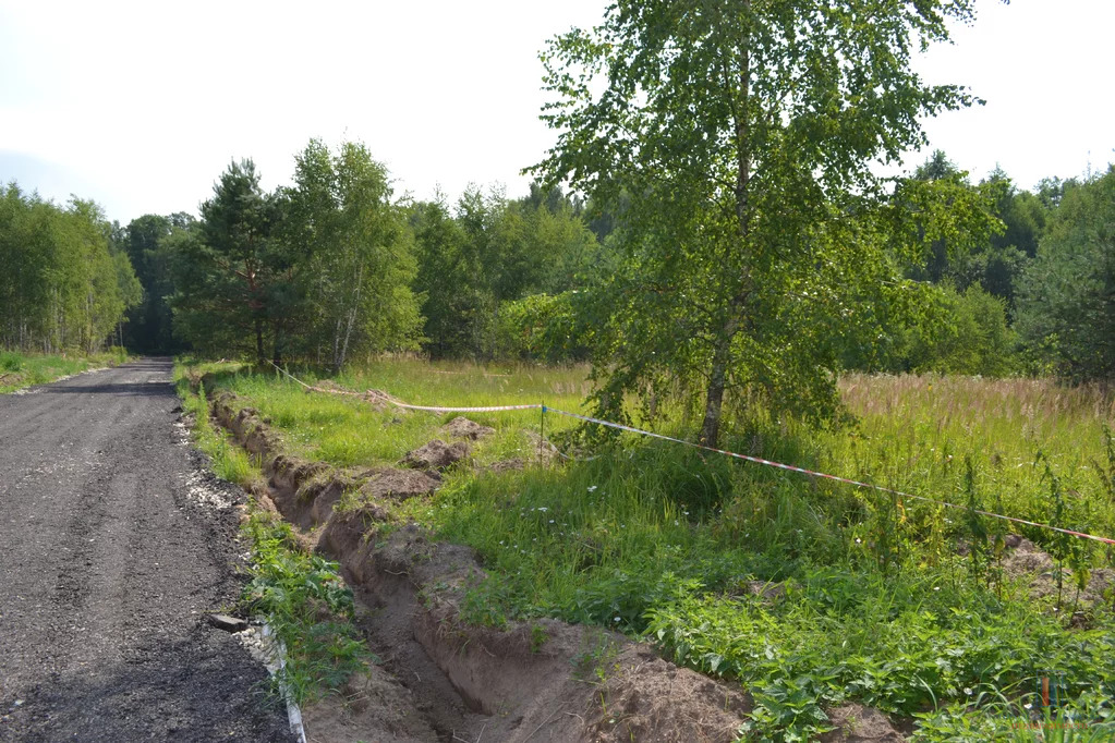 Схема малинки 2. Еремеево лайф коттеджный поселок. Малинки 2 воскресенский район. Участок малинки. Участок малинки.