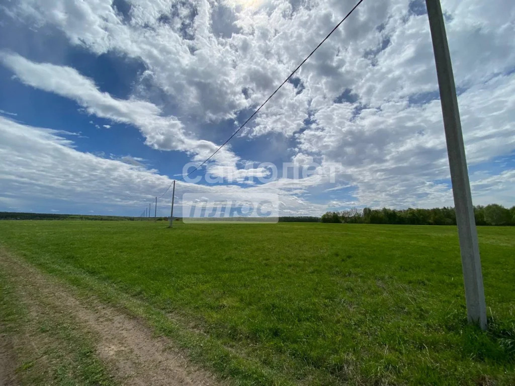 Продажа участка, Струково, Ленинский район - Фото 6