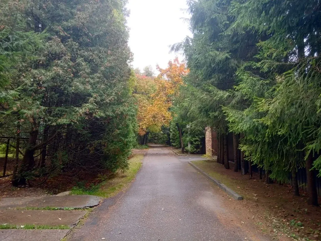 Продажа лесного участка в стародачном посёлке на Рублевке 20км от мкад - Фото 10