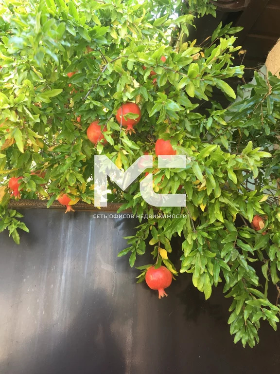 Продажа дома, Массандра, ул. Винодела Егорова - Фото 12