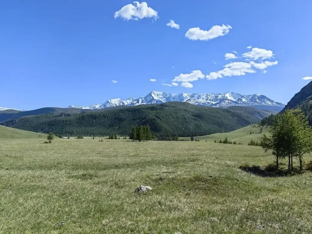 Участок 10 сот. (СНТ, ДНП) - Фото 0