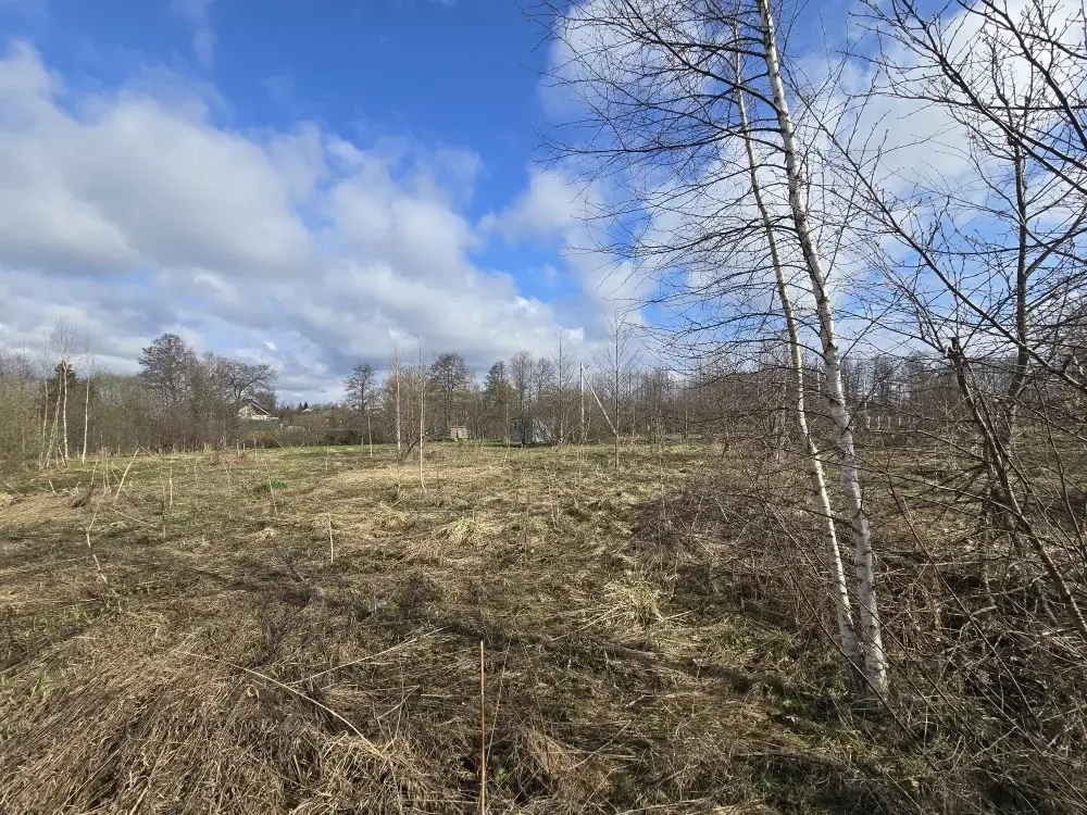 Продаю участок 10 соток в пос. Гарь-Покровское - Фото 1