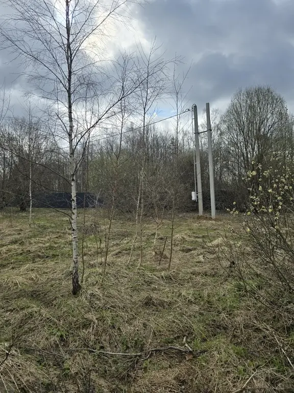 Продаю участок 10 соток в пос. Гарь-Покровское - Фото 7