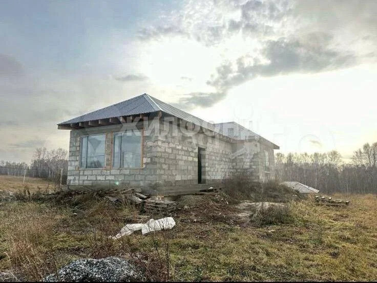 Продажа дома, Гусиный Брод, Новосибирский район - Фото 5