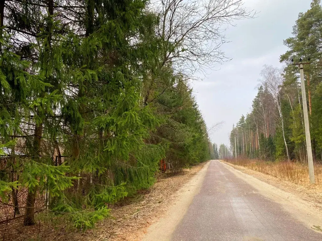 Дом в дереве Горки - Фото 33