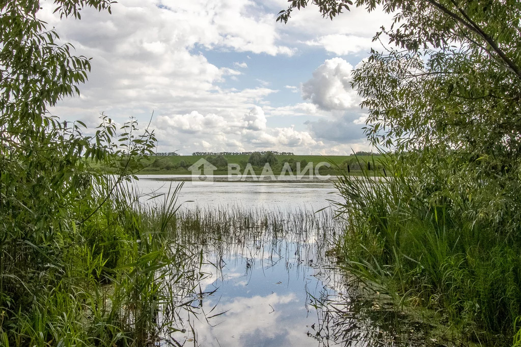 Суздальский район, село Брутово, Луговая улица,  земля на продажу - Фото 8