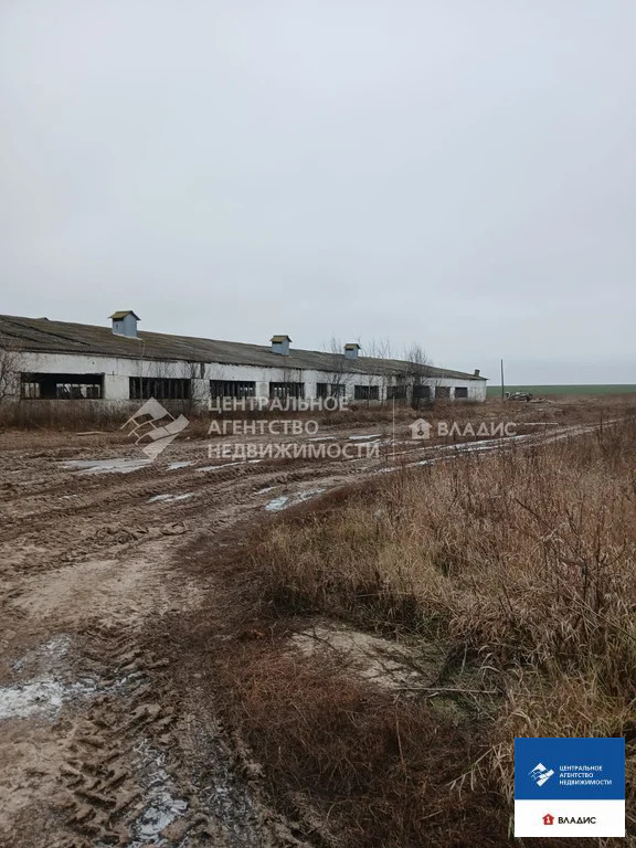 Продажа земельного участка, Старожилово, Старожиловский район, ул. ... - Фото 10
