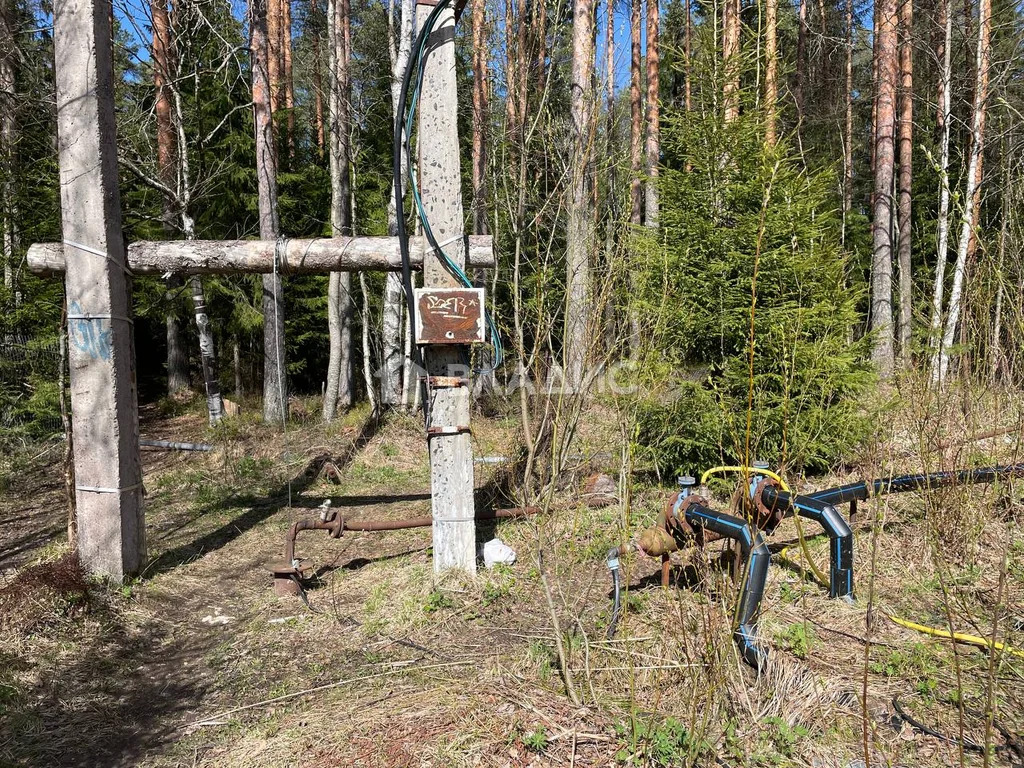 Выборгский район, садоводческое некоммерческое товарищество Актёр, ... - Фото 9