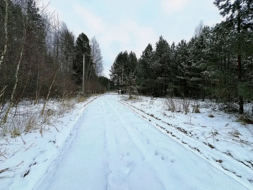 Участок в деревне Сабанино - Фото 0