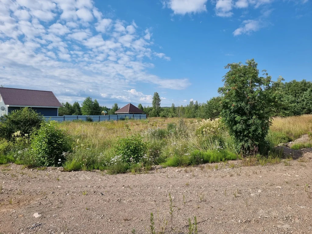 Продажа участка, Бородинское, Выборгский район - Фото 9