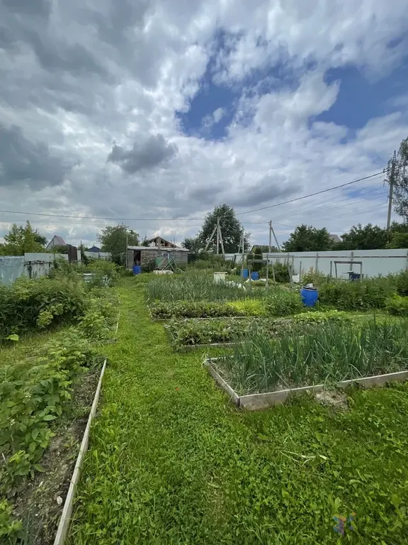 Продаю дачу 25 кв.м,  в с. Березнецово Ступинского района. - Фото 2