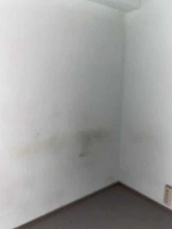 Аренда ПСН площадью 338 м2 - Фото 0