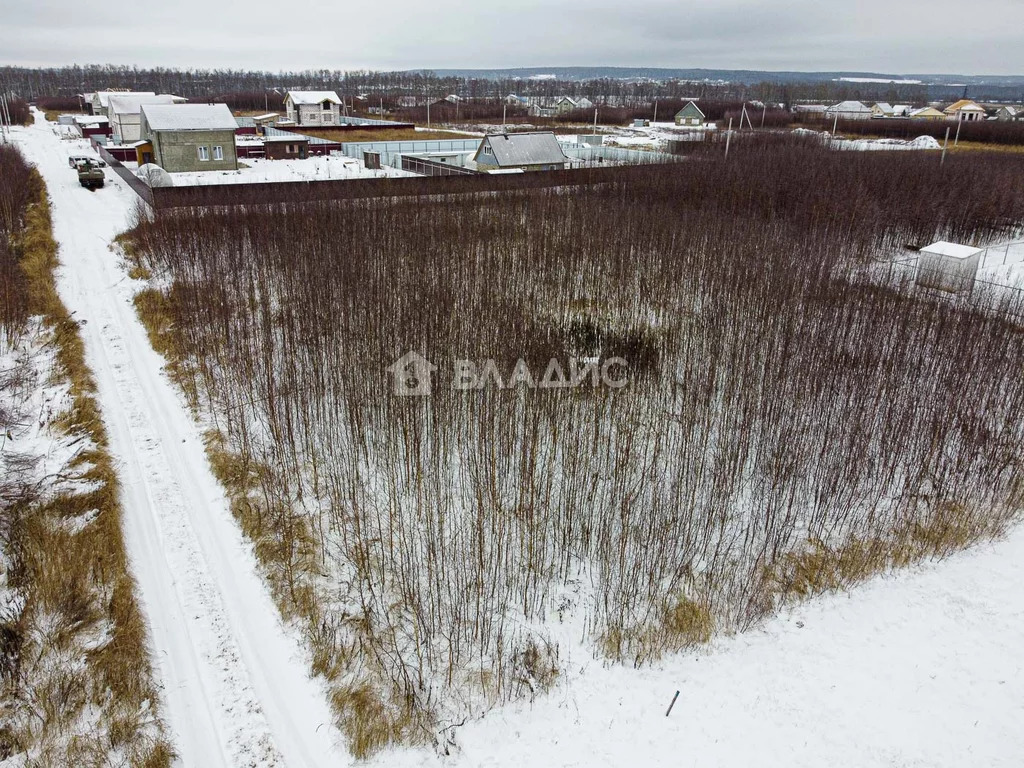 В бабаево сад. Село Бабаево.