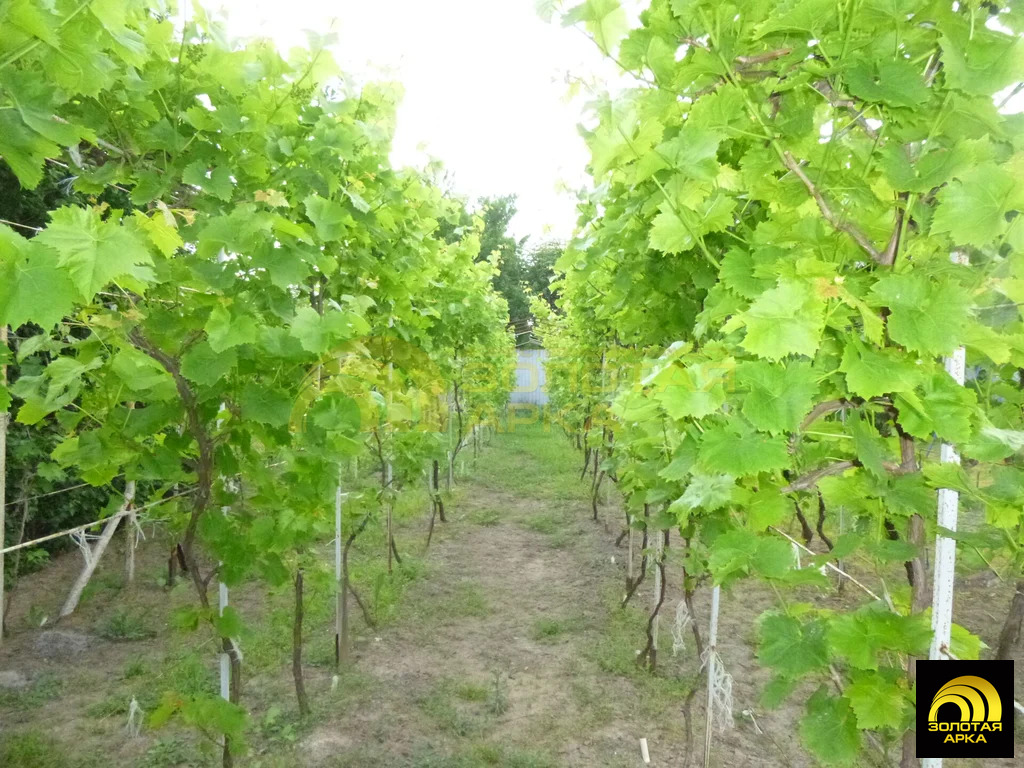 Продажа дома, Вышестеблиевская, Темрюкский район, Советский пер. - Фото 14