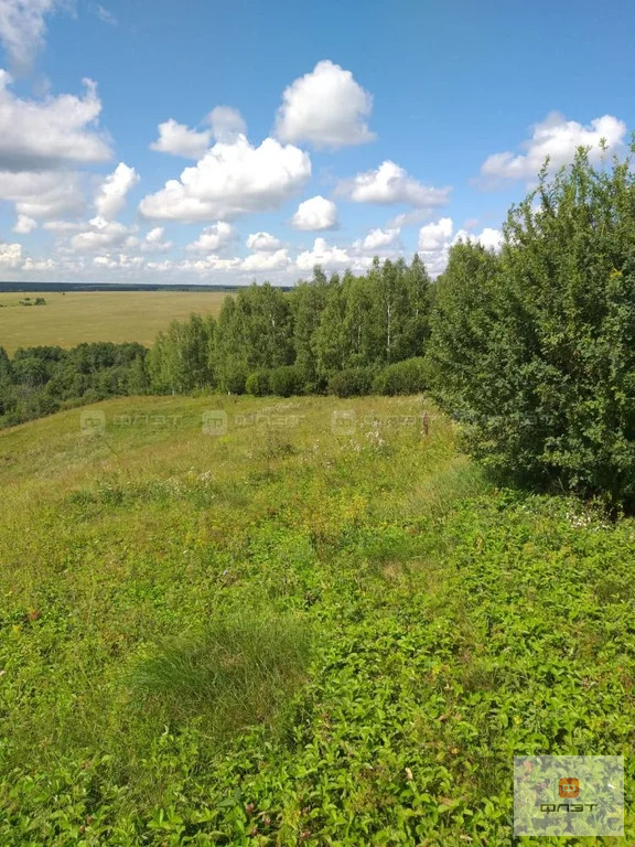 Продажа участка, Татарский Янтык, Лаишевский район, дом 301 - Фото 4