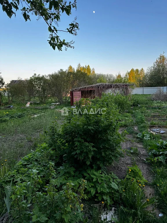 городской округ Истра, садовое товарищество Факел-2,  земля на продажу - Фото 8