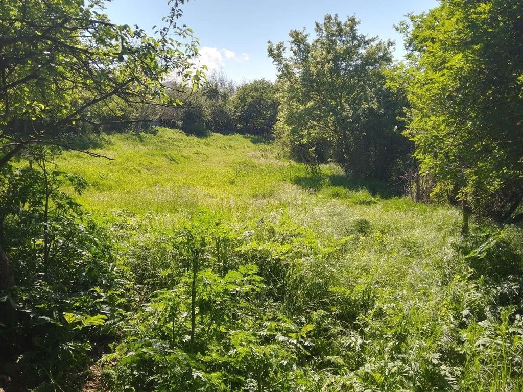 Продажа участка, Севастополь, ул. Подлесная - Фото 5