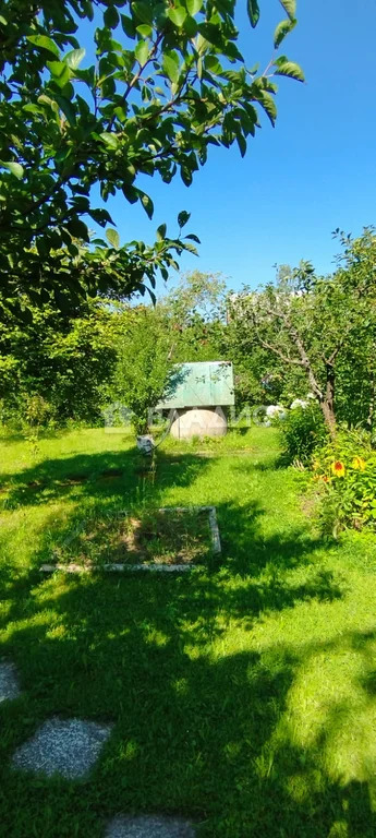 Ломоносовский район, СНТ Хладокомбинат, 8-я Центральная улица,  дом на ... - Фото 32