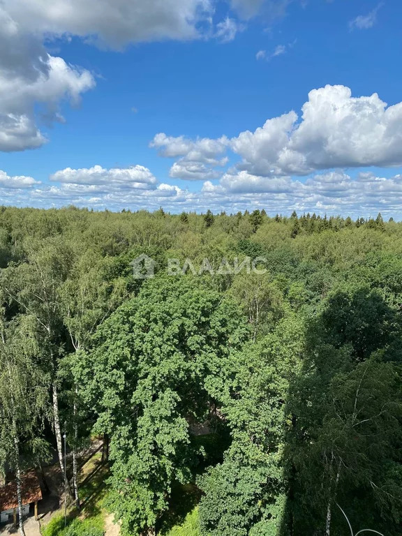 Городской округ Солнечногорск, деревня Подолино, Лесная улица, д.2, . - Фото 19