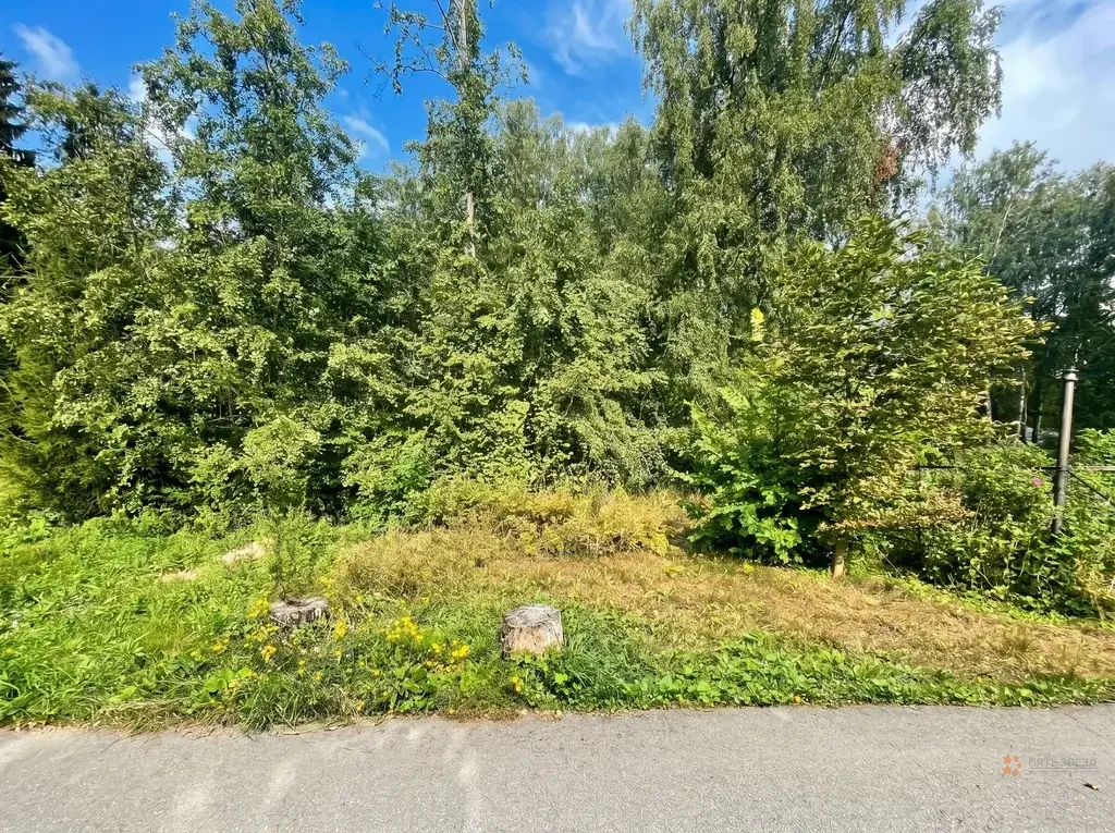 Продается участок село Талеж - Фото 4