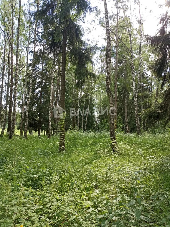 Наро-Фоминский городской округ, территория Участки в Плесенском,  дом ... - Фото 7