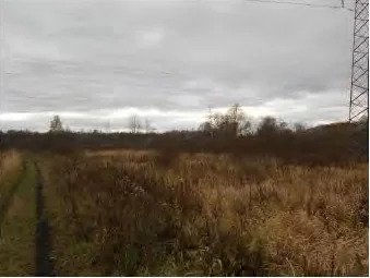 Земельный участок - Фото 3