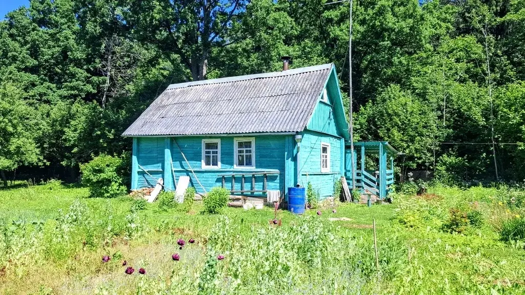 Очень уютный хуторок в лесной роще под Псковом - Фото 1