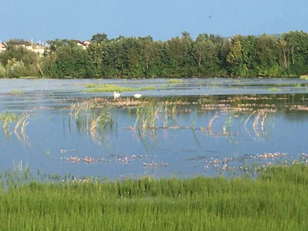 Култаево Октябрьская