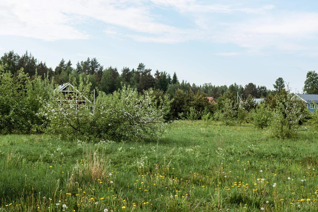 Продается земельный участок 16 сот. - Фото 6