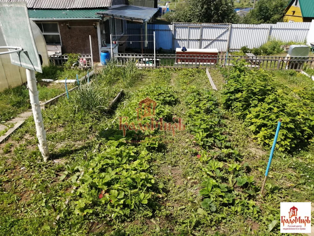 Купить Дачу В Александрове Недорого От Собственника