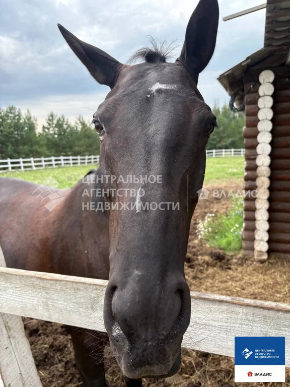 Продажа участка, Дубняки, Рязанский район, Солнечная улица - Фото 10