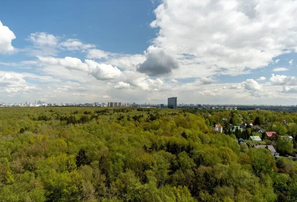 Купить однокомнатную квартиру 42.3м ул. Кутузовская, 2, Одинцово, ... - Фото 13