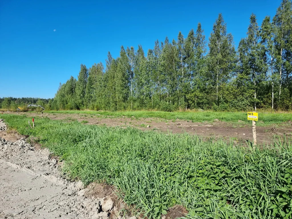 Продажа участка, Большие Пороги, Всеволожский район - Фото 5