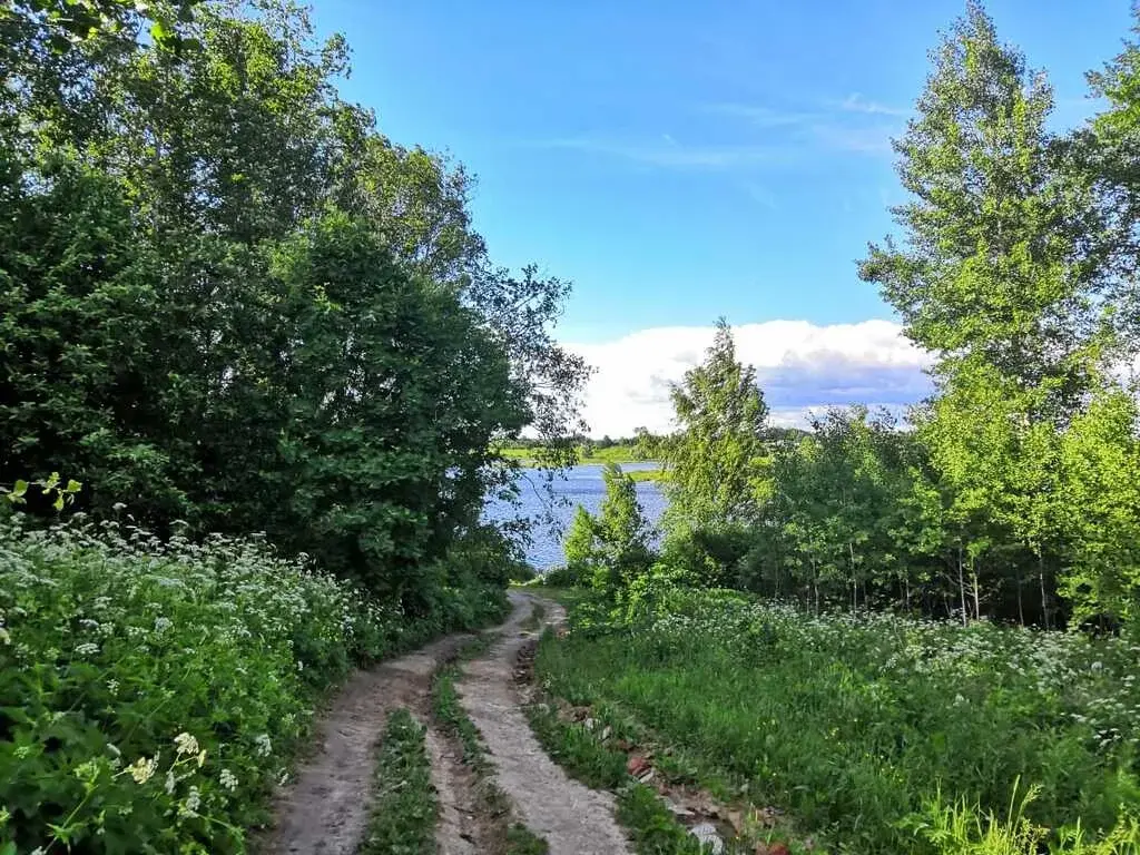 Продается участок близ Можайского водохранилища в д.Тушков городок - Фото 1